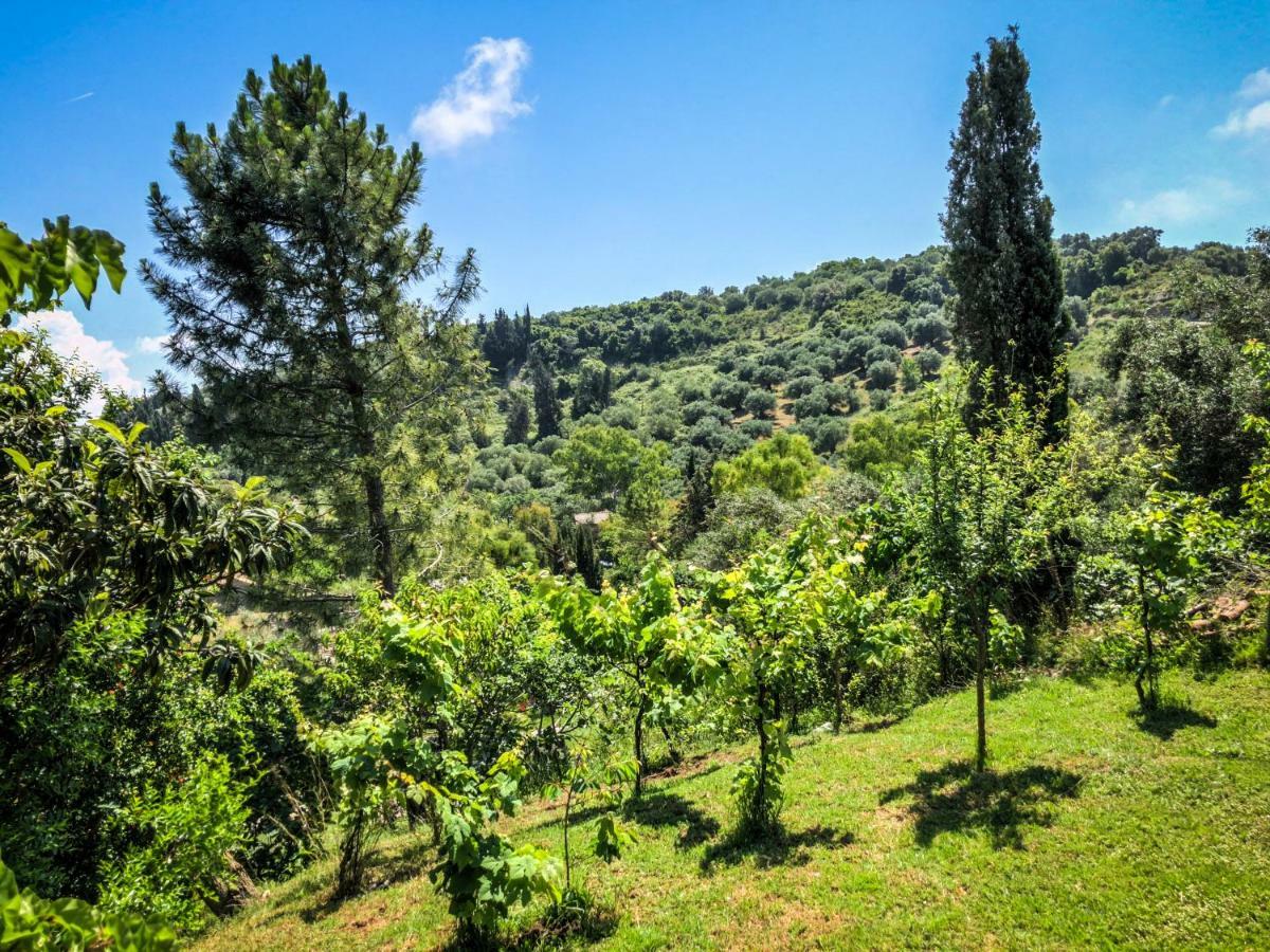 Hidden Gem In Nature Reserve Near The Beach - Corfu South Kritika  エクステリア 写真