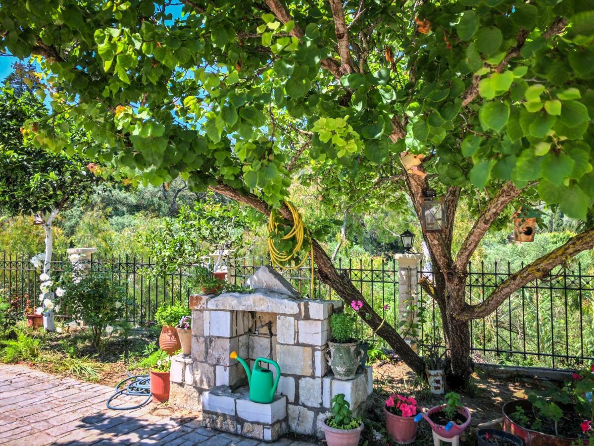 Hidden Gem In Nature Reserve Near The Beach - Corfu South Kritika  エクステリア 写真